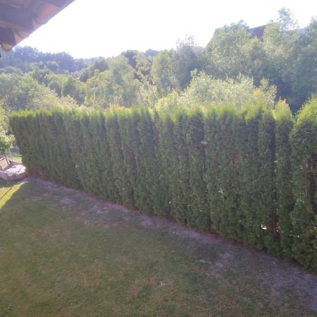 Pensiunea Floro Întorsura Buzăului Exteriör bild