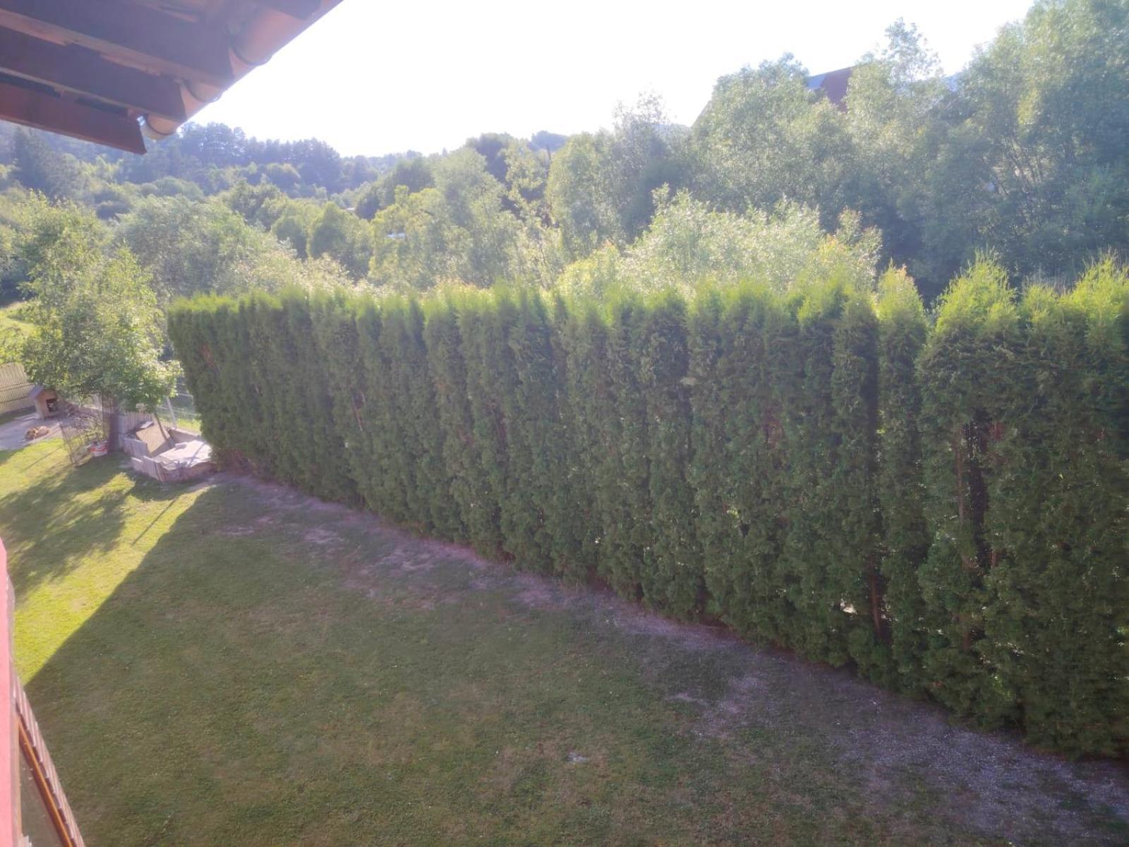 Pensiunea Floro Întorsura Buzăului Exteriör bild