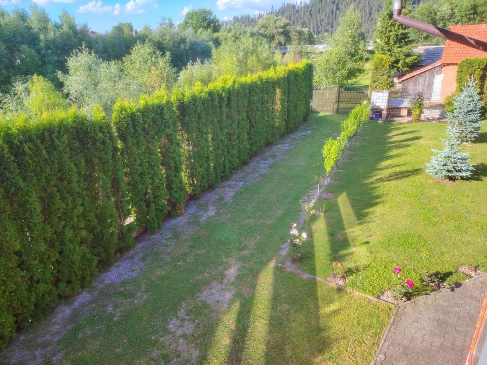 Pensiunea Floro Întorsura Buzăului Exteriör bild